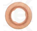 ELRING Tsnic krouek drku trysky ELR 924.867, 924.867