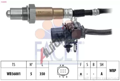 EPS (facet) Lambda sonda Made in Italy - OE Equivalent EPS 10.8391, 10.8391