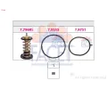 Termostat chladiva&nbsp;EPS (facet)&nbsp;&dash;&nbsp;EPS 7.7988