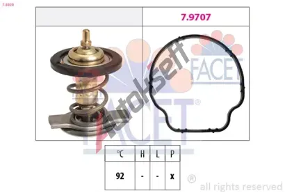 EPS (facet) Termostat chladiva EPS 7.8929, 7.8929