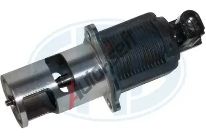 ERA AGR ventil ERA 555031, 555031