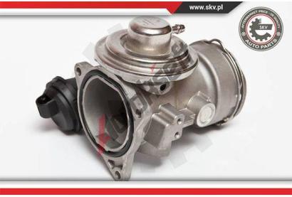 ESEN SKV AGR ventil ESN 14SKV025, 14SKV025