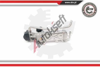 ESEN SKV AGR ventil ESN 14SKV095, 14SKV095