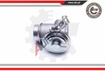 ESEN SKV AGR ventil ESN 14SKV176, 14SKV176