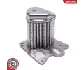 ESEN SKV Chladi� recirkulace spalin ESN 14SKV251, 14SKV251