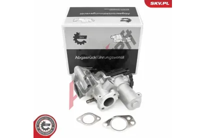 ESEN SKV AGR ventil ESN 14SKV253, 14SKV253