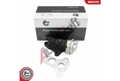 ESEN SKV AGR ventil ESN 14SKV263, 14SKV263