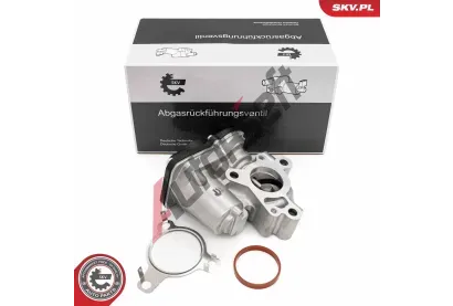 ESEN SKV AGR ventil ESN 14SKV276, 14SKV276