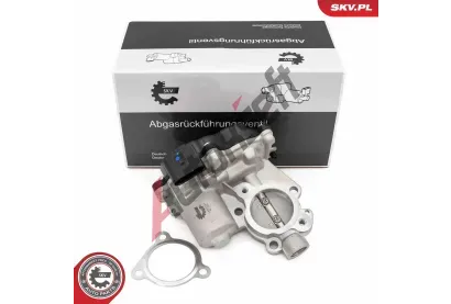 ESEN SKV AGR ventil ESN 14SKV281, 14SKV281