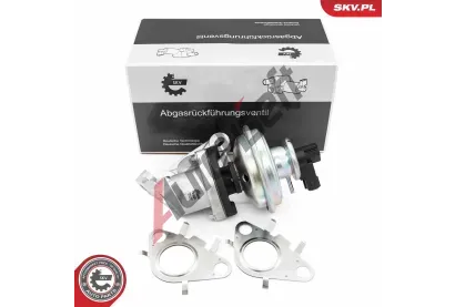 ESEN SKV AGR ventil ESN 14SKV285, 14SKV285