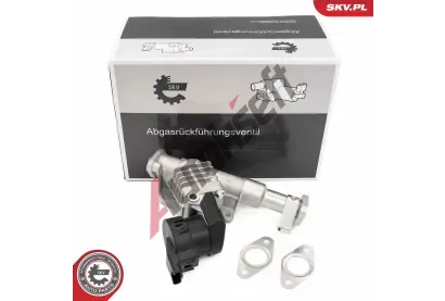 ESEN SKV AGR ventil ESN 14SKV287, 14SKV287