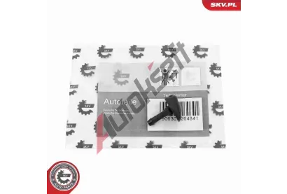 ESEN SKV Tryska ostikovae skla ESN 15SKV203, 15SKV203