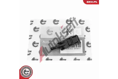 ESEN SKV Tryska ostikovae skla ESN 15SKV208, 15SKV208