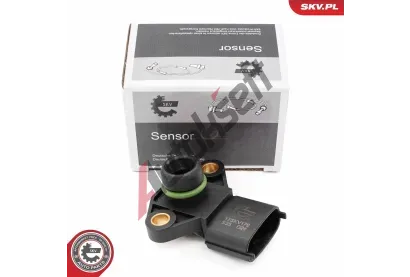 ESEN SKV Senzor tlaku sacího potrubí ESN 17SKV179, 17SKV179 ESEN SKV Senzor tlaku sacího potrubí ESN 17SKV179, 17SKV179
