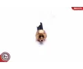 ESEN SKV Snma tlaku paliva ESN 17SKV620, 17SKV620