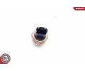 ESEN SKV Snma tlaku paliva ESN 17SKV620, 17SKV620