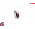ESEN SKV Snma tlaku paliva ESN 17SKV623, 17SKV623