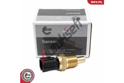 ESEN SKV Snma stavu chladic kapaliny ESN 17SKV843, 17SKV843