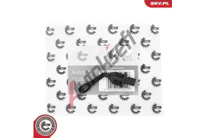 ESEN SKV Snma teploty interiru ESN 17SKV988, 17SKV988