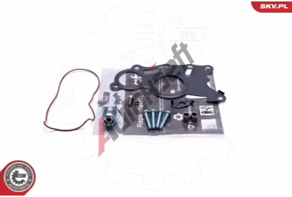 ESEN SKV Opravn sada podtlakov pumpy (brzdov soustava) ESN 18SKV803, 18SKV803