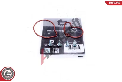ESEN SKV Opravn sada podtlakov pumpy (brzdov soustava) ESN 18SKV807, 18SKV807
