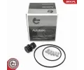 Opravn� sada podtlakov� pumpy (brzdov� soustava)&nbsp;ESEN SKV&nbsp;&dash;&nbsp;ESN 18SKV810