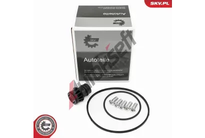 ESEN SKV Opravn� sada podtlakov� pumpy (brzdov� soustava) ESN 18SKV810, 18SKV810