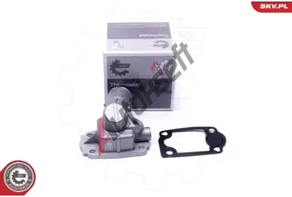 ESEN SKV Termostat chladiva ESN 20SKV168, 20SKV168