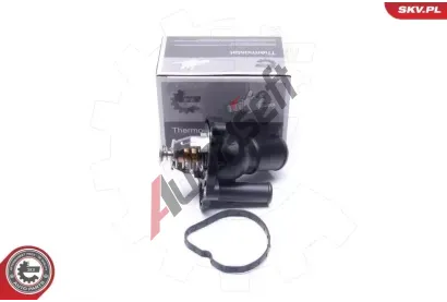 ESEN SKV Termostat chladiva ESN 20SKV194, 20SKV194