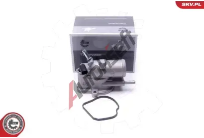 ESEN SKV Termostat chladiva ESN 20SKV199, 20SKV199