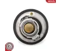ESEN SKV Termostat chladiva ESN 20SKV218, 20SKV218