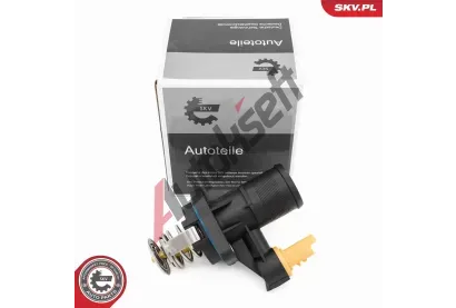 ESEN SKV Termostat chladiva ESN 20SKV228, 20SKV228