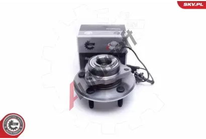 ESEN SKV Sada loiska kola ESN 29SKV308, 29SKV308