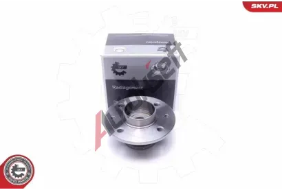 ESEN SKV Sada loiska kola ESN 29SKV339, 29SKV339