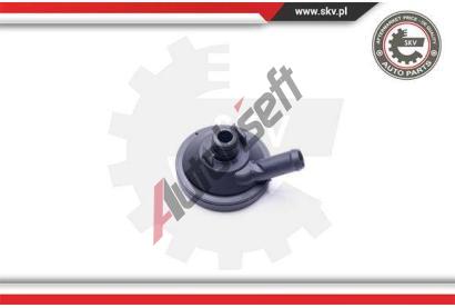 ESEN SKV Odlučovač oleje odvětrání klikové skříně ESN 31SKV097, 31SKV097  ESEN SKV Odlučovač oleje odvětrání klikové skříně ESN 31SKV097, 31SKV097