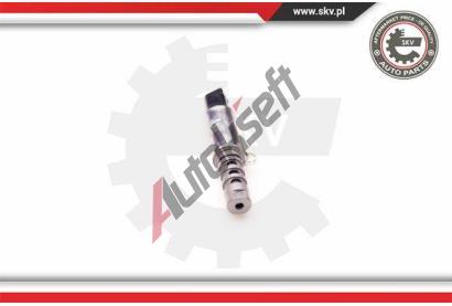 ESEN SKV dic ventil sezen vakovho hdele ESN 39SKV010, 39SKV010
