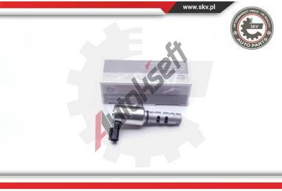 ESEN SKV Řídicí ventil seřízení vačkového hřídele ESN 39SKV030, 39SKV030 ESEN SKV Řídicí ventil seřízení vačkového hřídele ESN 39SKV030, 39SKV030