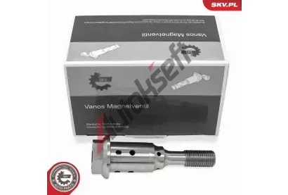 ESEN SKV dic ventil sezen vakovho hdele ESN 39SKV073, 39SKV073