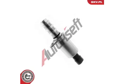 ESEN SKV Řídicí ventil seřízení vačkového hřídele ESN 39SKV081, 39SKV081 ESEN SKV Řídicí ventil seřízení vačkového hřídele ESN 39SKV081, 39SKV081