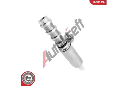 ESEN SKV dic ventil sezen vakovho hdele ESN 39SKV095, 39SKV095