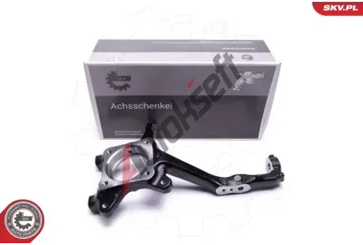 ESEN SKV Čep nápravy zavěšení kol ESN 47SKV651, 47SKV651 ESEN SKV Čep nápravy zavěšení kol ESN 47SKV651, 47SKV651