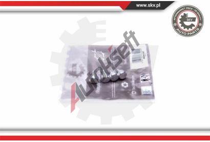 ESEN SKV Sada na opravu, modul sacího potrubí ESN 49SKV547, 49SKV547 ESEN SKV Sada na opravu, modul sacího potrubí ESN 49SKV547, 49SKV547