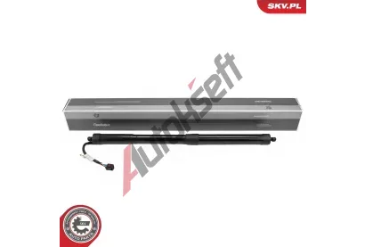 ESEN SKV Elektromotor, zadní dveře ESN 52SKV166, 52SKV166 ESEN SKV Elektromotor, zadní dveře ESN 52SKV166, 52SKV166