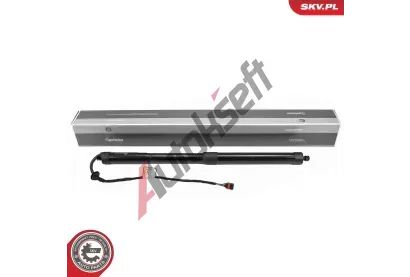 ESEN SKV Elektromotor, zadní dveře ESN 52SKV168, 52SKV168 ESEN SKV Elektromotor, zadní dveře ESN 52SKV168, 52SKV168