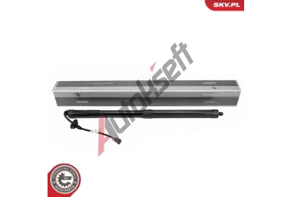 ESEN SKV Elektromotor, zadn� dve�e ESN 52SKV171, 52SKV171