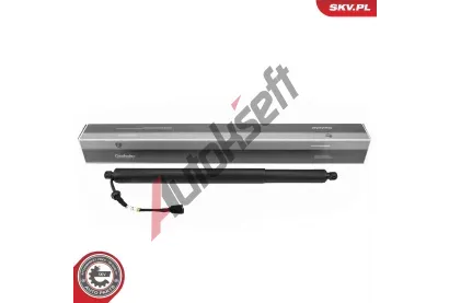 ESEN SKV Elektromotor, zadn� dve�e ESN 52SKV175, 52SKV175