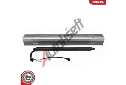 ESEN SKV Elektromotor, zadn� dve�e ESN 52SKV177, 52SKV177