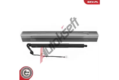 ESEN SKV Elektromotor, zadn� dve�e ESN 52SKV179, 52SKV179