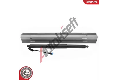 ESEN SKV Elektromotor, zadn� dve�e ESN 52SKV186, 52SKV186