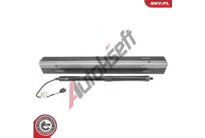 ESEN SKV Elektromotor, zadní dveře ESN 52SKV188, 52SKV188 ESEN SKV Elektromotor, zadní dveře ESN 52SKV188, 52SKV188